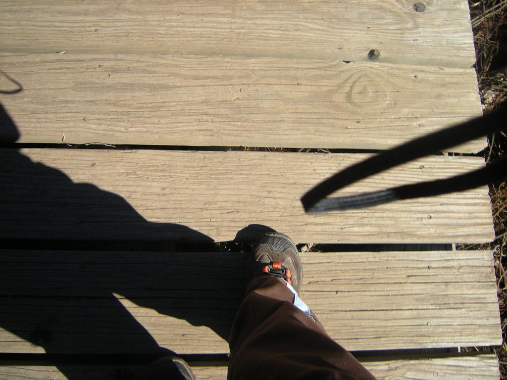fall09 051